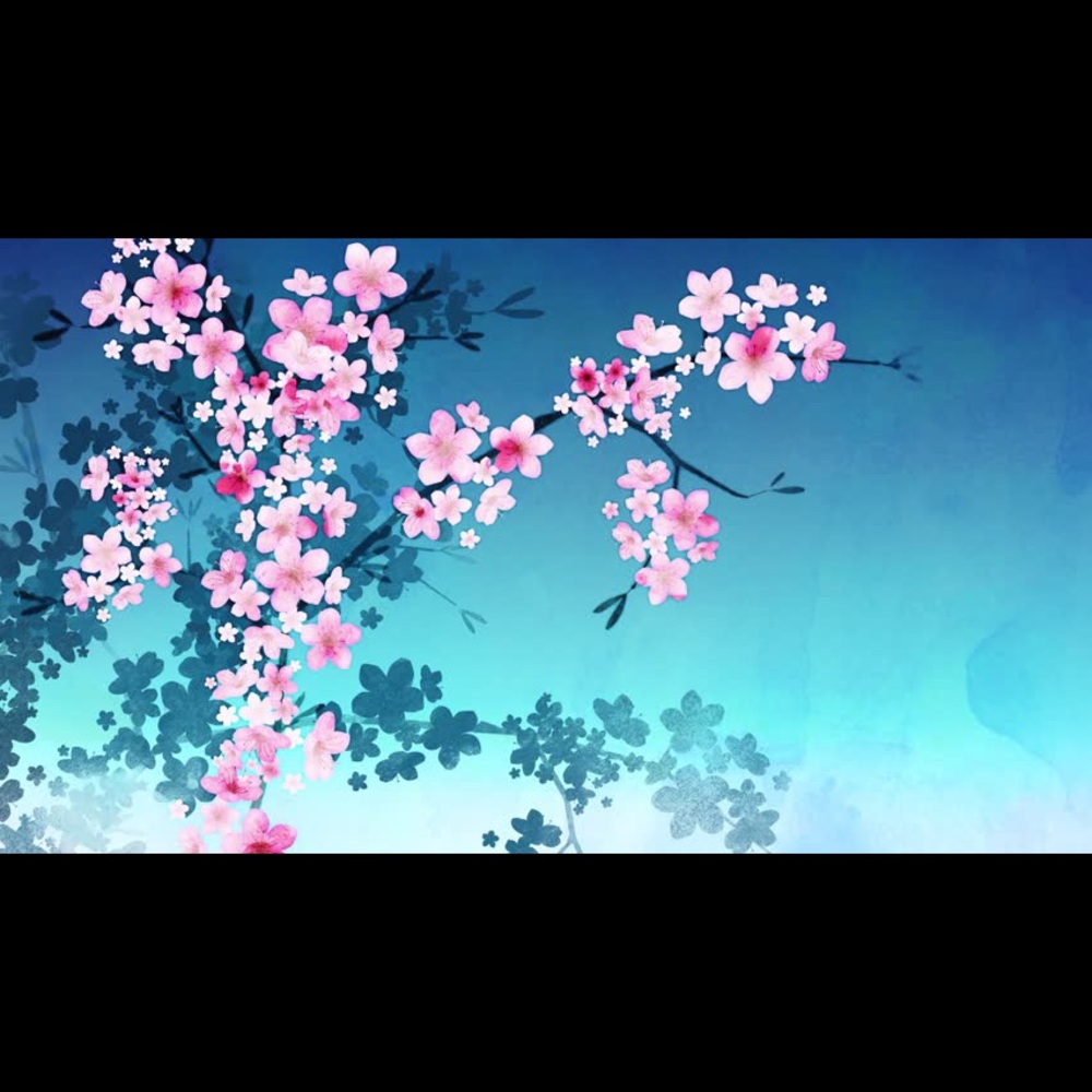 Meet your Posher, Sokha